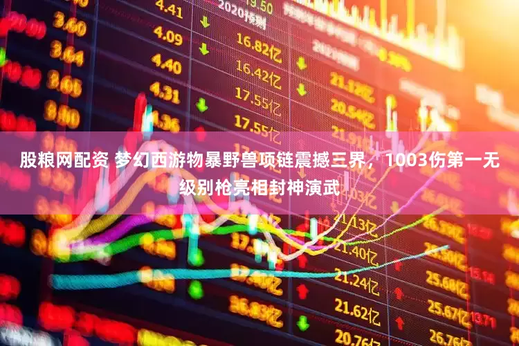 股粮网配资 梦幻西游物暴野兽项链震撼三界，1003伤第一无级别枪亮相封神演武