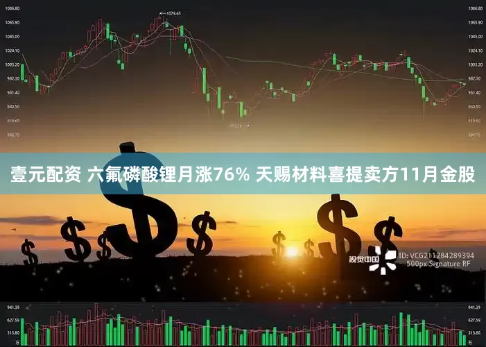 壹元配资 六氟磷酸锂月涨76% 天赐材料喜提卖方11月金股
